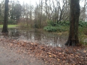 recent flooding in the park